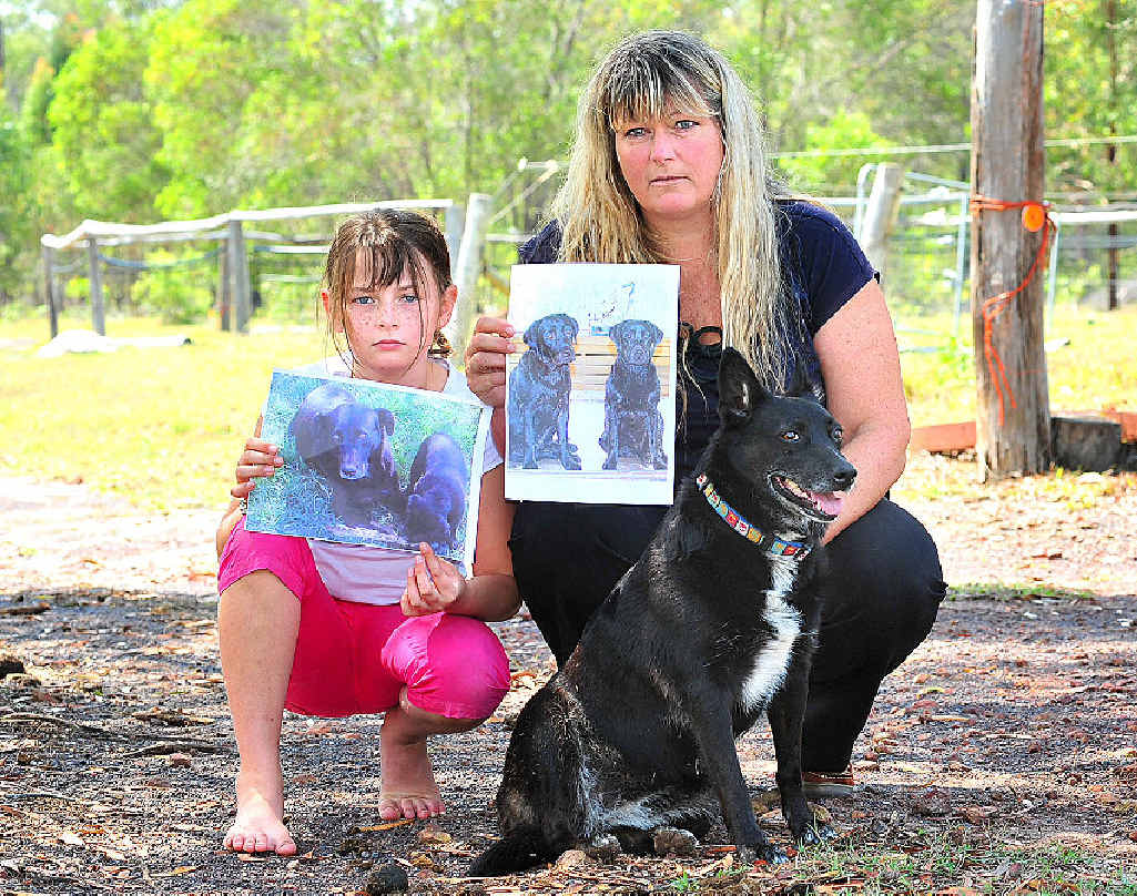 Eliza and Karen Cate with their dog Kelly. The families other dogs have been missing for three days.